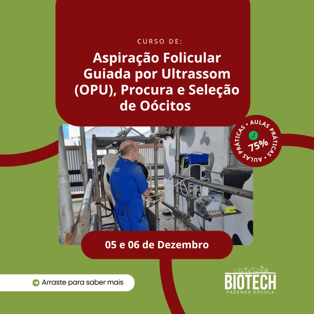 Aspiração Folicular Guiada por Ultrassom (OPU), Procura e Seleção de Oócitos