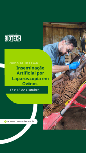 Inseminação por laparoscopia em ovinos
