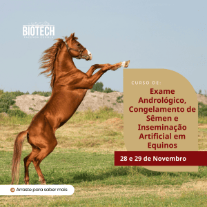 Exame Andrológico, Congelamento de Sêmen e Inseminação Artificial em Equinos