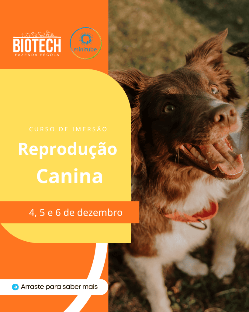 Curso de Imersão: Reprodução Canina