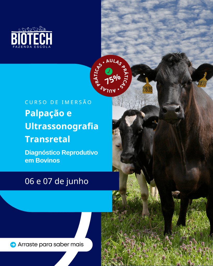 Palpação e ultrassonografia transretal: Diagnóstico reprodutivo em bovinos