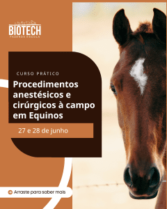 Procedimentos anestésicos e cirúrgicos a campo em equinos
