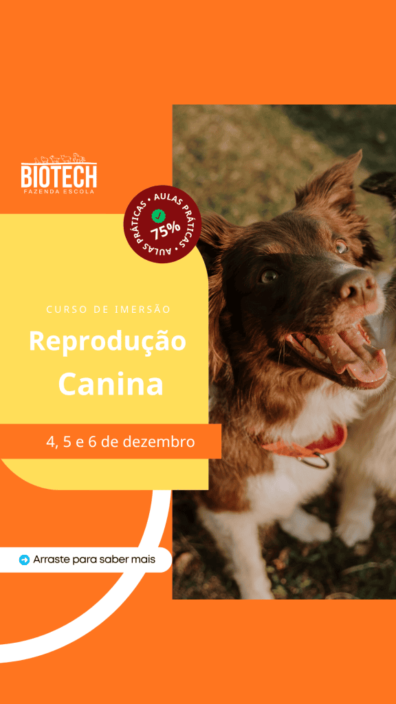 Curso de Imersão: Reprodução Canina