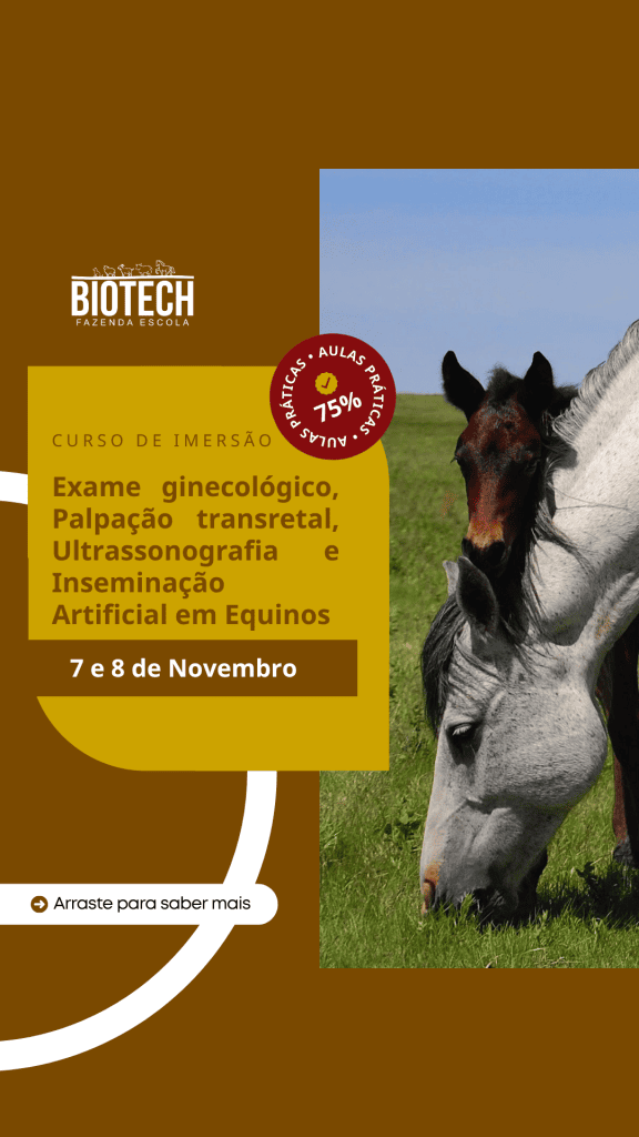 Exame ginecológico, Palpação transretal, Ultrassonografia e Inseminação Artificial em equinos