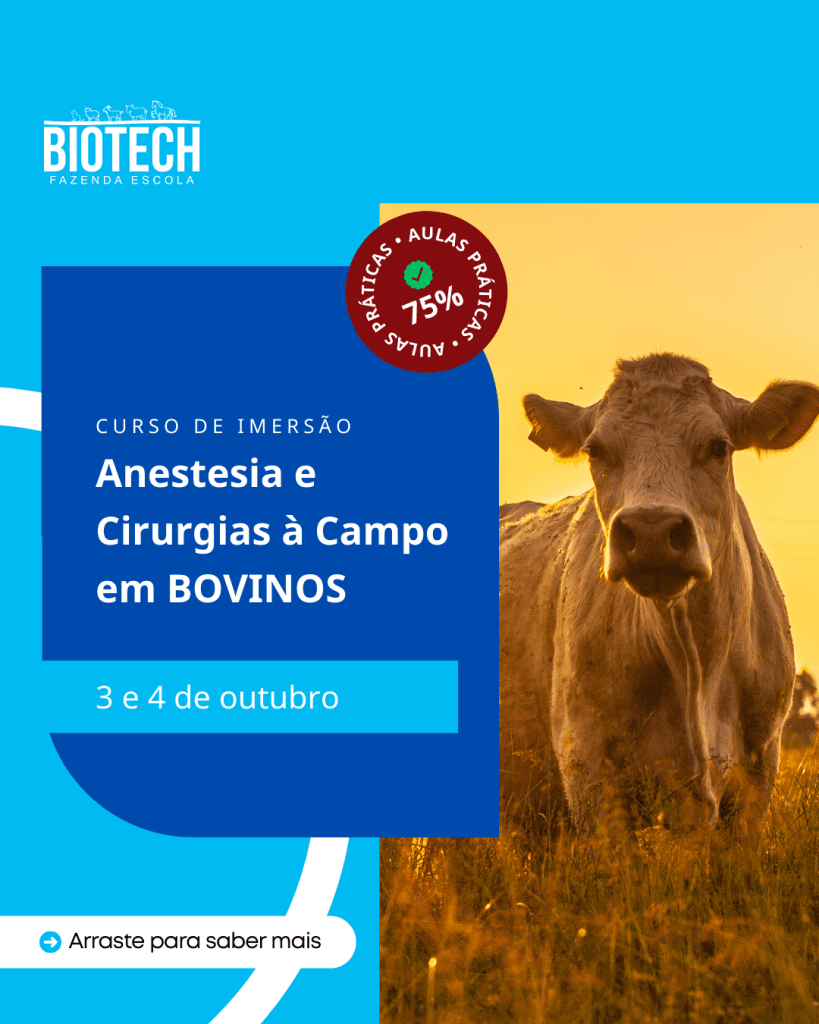 Anestesia e Cirurgias Eletivas a Campo em Bovinos