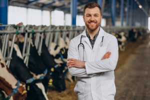 Curso de capacitação: Auxiliar Veterinário de grandes animais (equinos, bovinos e ovinos): O primeiro passo para uma profissão