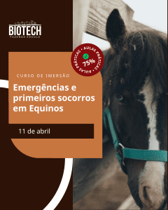 Emergências e primeiros socorros em equinos