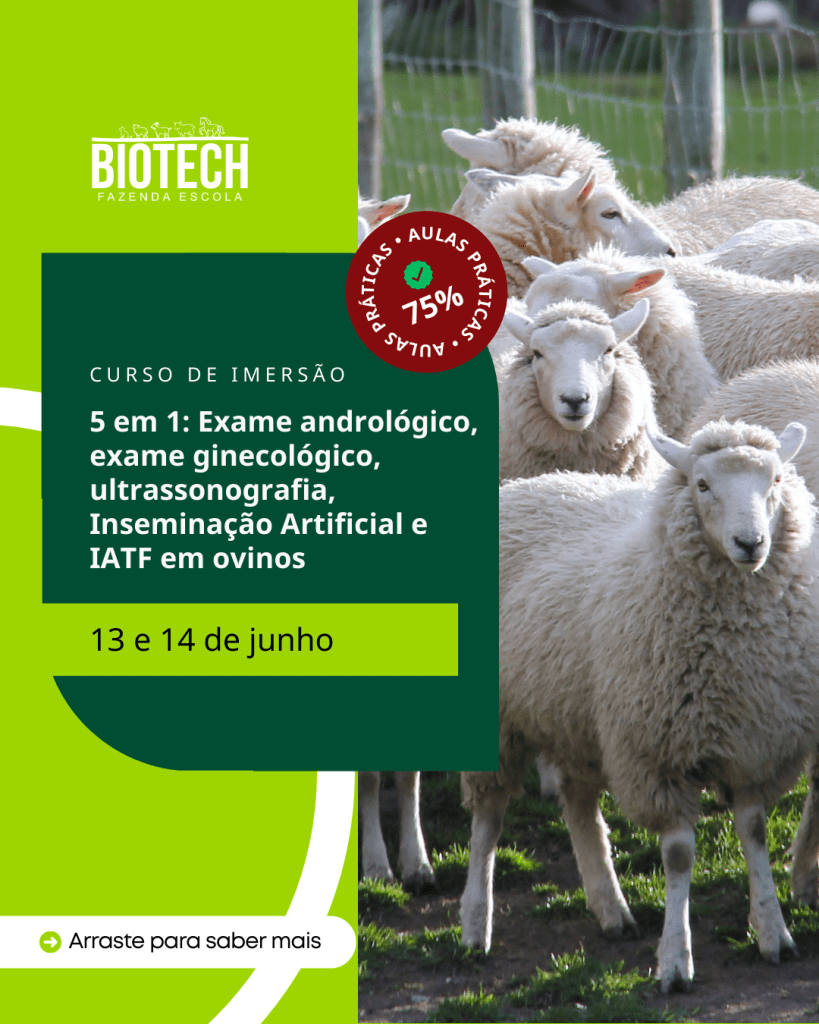 Curso 5 em 1: Exame andrológico, exame ginecológico, ultrassonografia, Inseminação Artificial e IATF em ovinos
