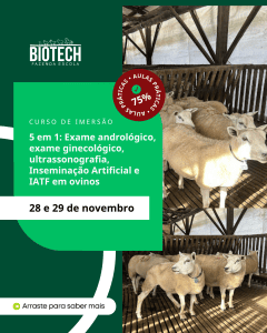 Curso 5 em 1: Exame andrológico, exame ginecológico, ultrassonografia, Inseminação Artificial e IATF em ovinos