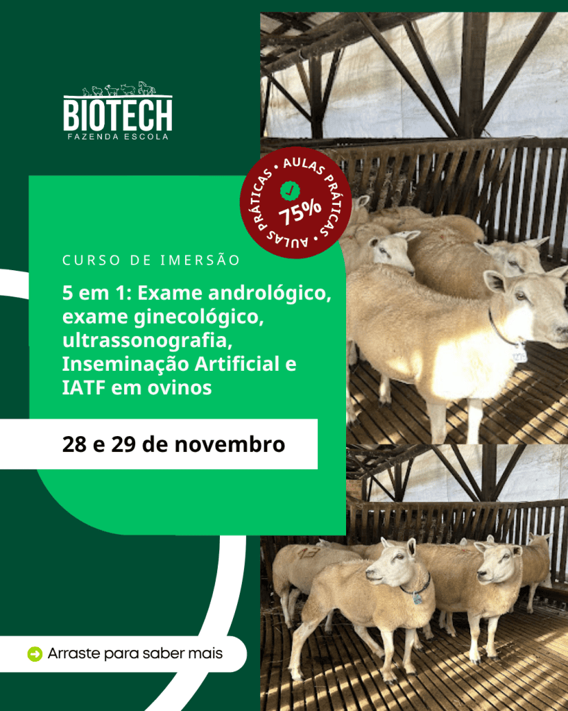 Curso 5 em 1: Exame andrológico, exame ginecológico, ultrassonografia, Inseminação Artificial e IATF em ovinos
