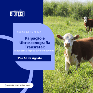 Palpação e ultrassonografia transretal: Diagnóstico reprodutivo em bovinos