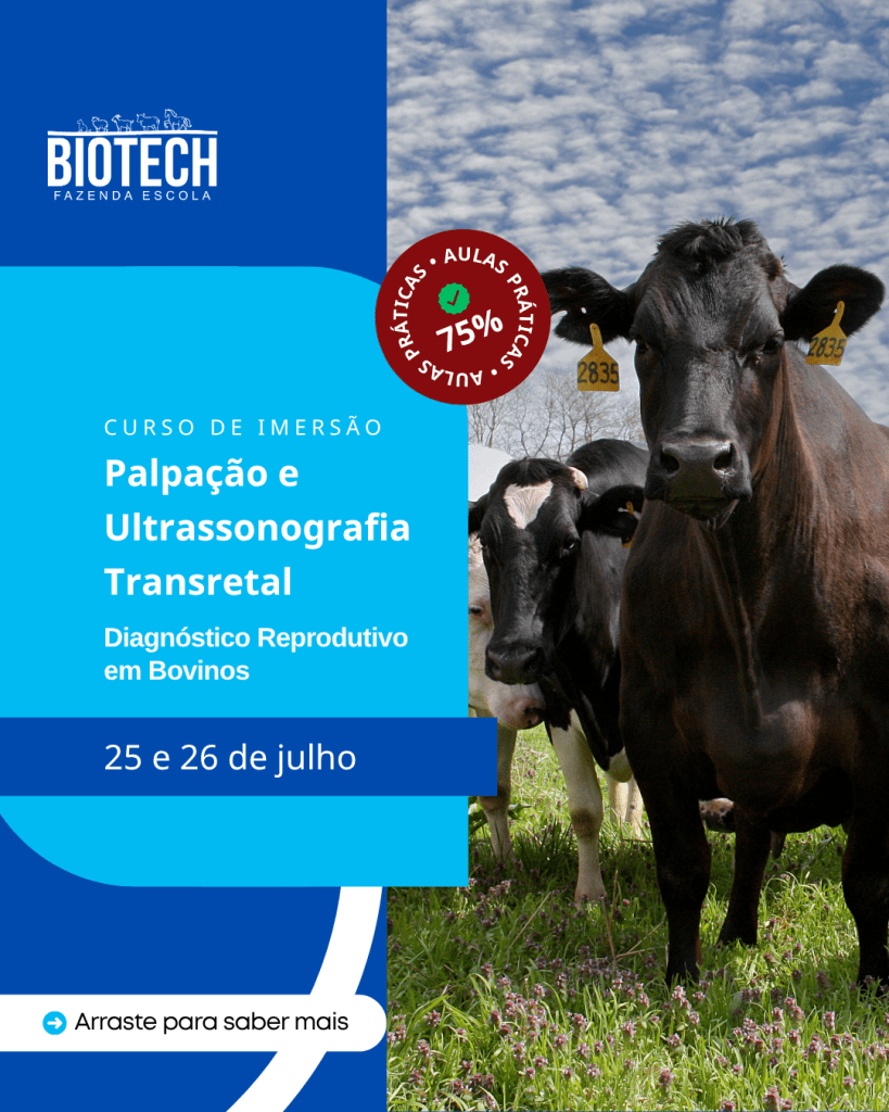 Palpação e ultrassonografia transretal: Diagnóstico reprodutivo em bovinos