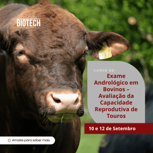 Exame Andrológico em Bovinos – Avaliação da Capacidade Reprodutiva de Touros